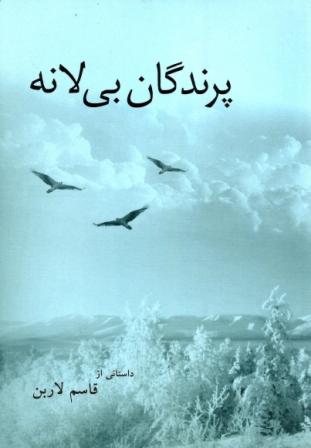 پرندگان بی لانه